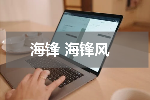 海锋 海锋风