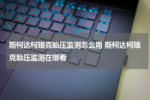 斯柯达柯珞克胎压监测怎么用 斯柯达柯珞克胎压监测在哪看