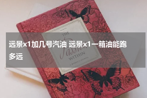 远景x1加几号汽油 远景x1一箱油能跑多远
