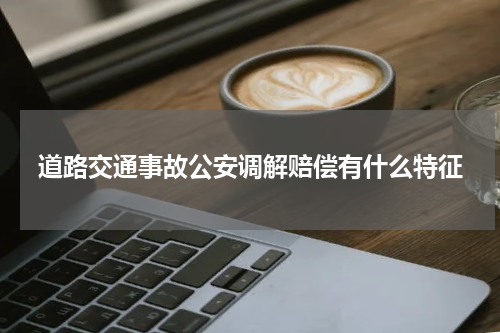 道路交通事故公安调解赔偿有什么特征