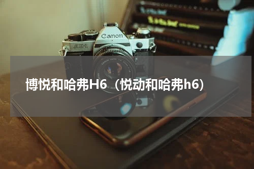 博悦和哈弗H6（悦动和哈弗h6）