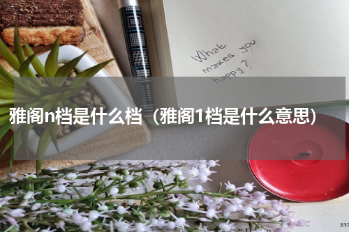 雅阁n档是什么档（雅阁1档是什么意思）
