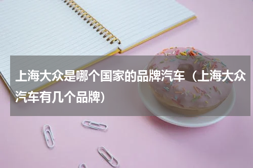 上海大众是哪个国家的品牌汽车（上海大众汽车有几个品牌）