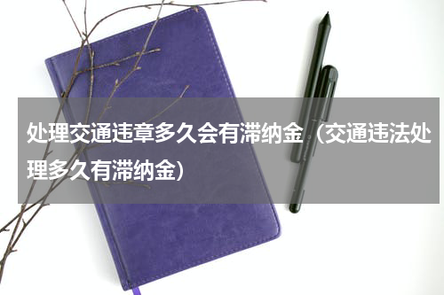 处理交通违章多久会有滞纳金（交通违法处理多久有滞纳金）