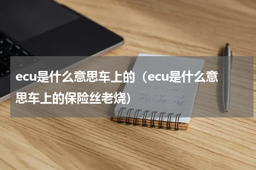 ecu是什么意思车上的（ecu是什么意思车上的保险丝老烧）