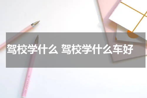 驾校学什么 驾校学什么车好