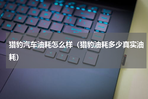 猎豹汽车油耗怎么样（猎豹油耗多少真实油耗）