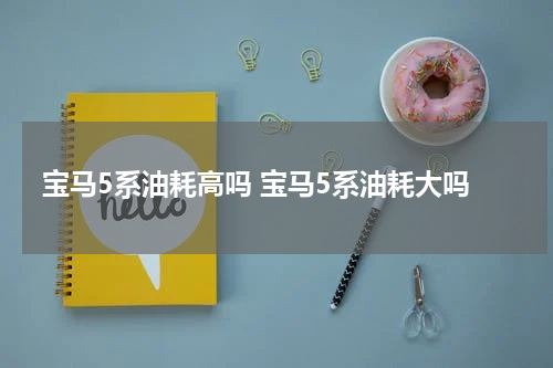 宝马5系油耗高吗 宝马5系油耗大吗