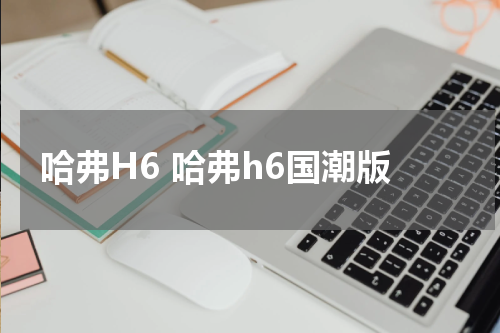 哈弗H6 哈弗h6国潮版