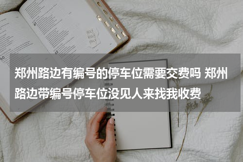 郑州路边有编号的停车位需要交费吗 郑州路边带编号停车位没见人来找我收费