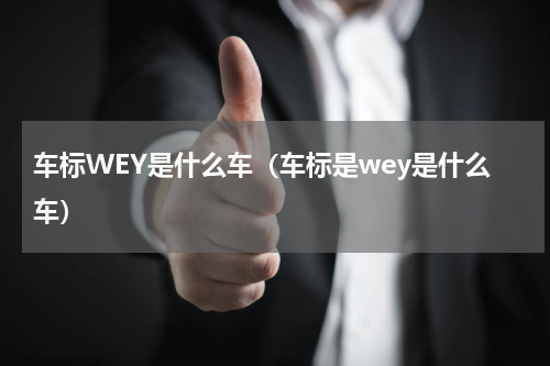 车标WEY是什么车（车标是wey是什么车）