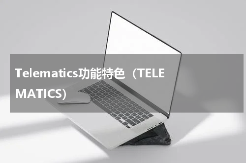 Telematics功能特色（TELEMATICS）