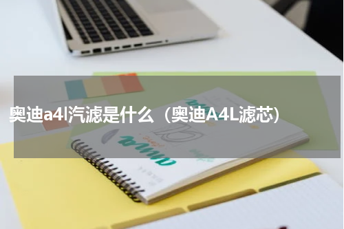 奥迪a4l汽滤是什么（奥迪A4L滤芯）