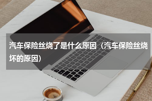 汽车保险丝烧了是什么原因（汽车保险丝烧坏的原因）
