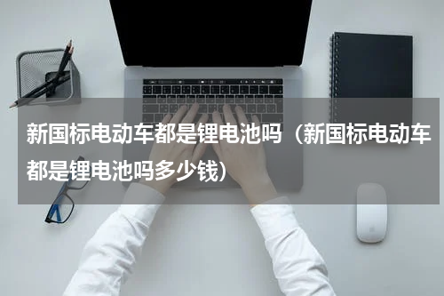新国标电动车都是锂电池吗（新国标电动车都是锂电池吗多少钱）