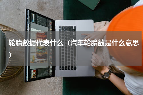 轮胎数据代表什么（汽车轮胎数是什么意思）