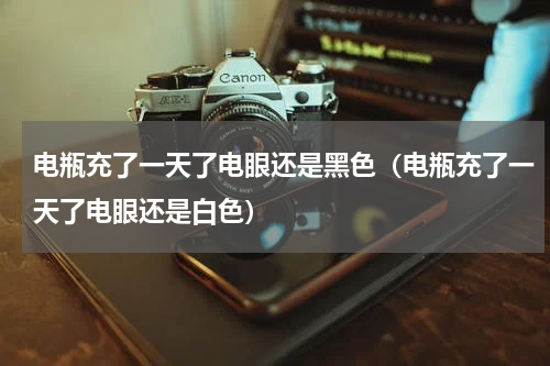 电瓶充了一天了电眼还是黑色（电瓶充了一天了电眼还是白色）