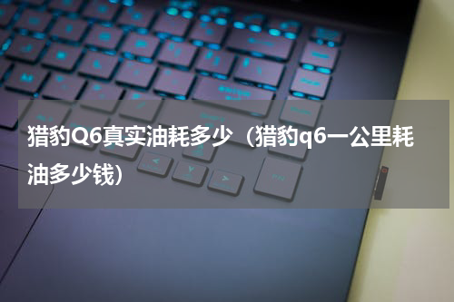 猎豹Q6真实油耗多少（猎豹q6一公里耗油多少钱）