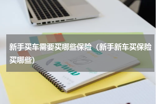 新手买车需要买哪些保险（新手新车买保险买哪些）