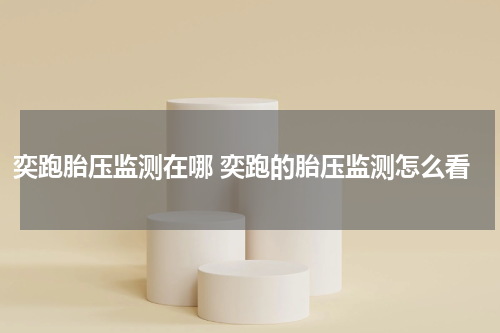 奕跑胎压监测在哪 奕跑的胎压监测怎么看