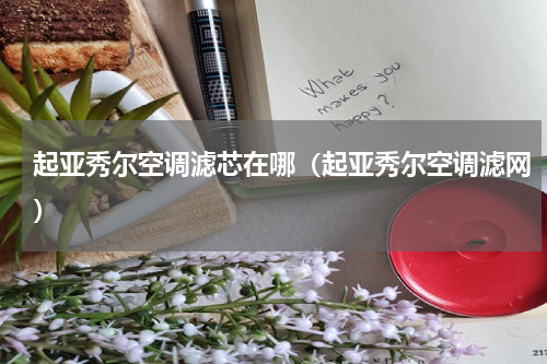 起亚秀尔空调滤芯在哪（起亚秀尔空调滤网）
