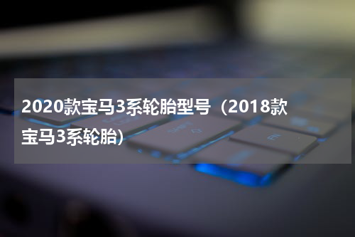 2020款宝马3系轮胎型号（2018款宝马3系轮胎）