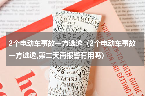 2个电动车事故一方逃逸（2个电动车事故一方逃逸,第二天再报警有用吗）