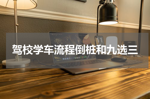 驾校学车流程倒桩和九选三