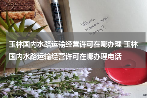 玉林国内水路运输经营许可在哪办理 玉林国内水路运输经营许可在哪办理电话