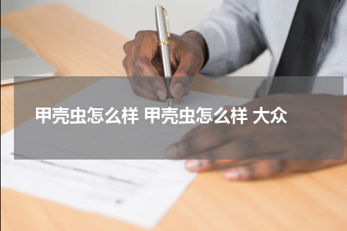 甲壳虫怎么样 甲壳虫怎么样 大众