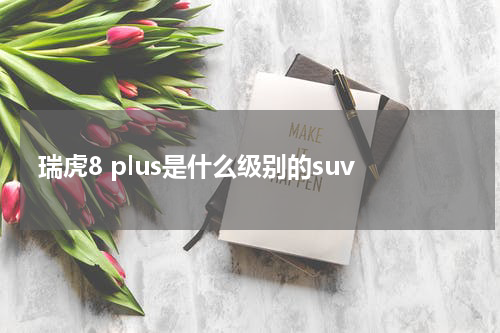 瑞虎8 plus是什么级别的suv