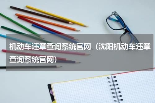 机动车违章查询系统官网（沈阳机动车违章查询系统官网）
