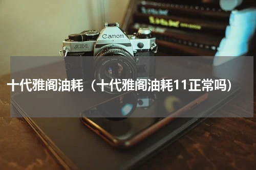 十代雅阁油耗（十代雅阁油耗11正常吗）