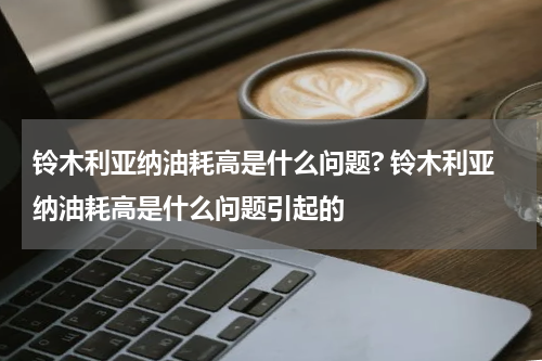 铃木利亚纳油耗高是什么问题? 铃木利亚纳油耗高是什么问题引起的