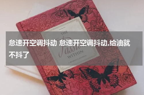 怠速开空调抖动 怠速开空调抖动,给油就不抖了