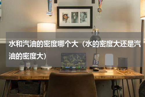 水和汽油的密度哪个大（水的密度大还是汽油的密度大）