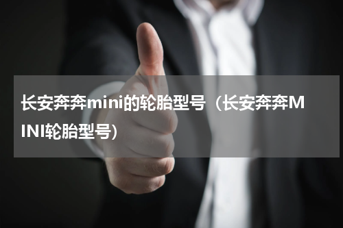 长安奔奔mini的轮胎型号（长安奔奔MINI轮胎型号）