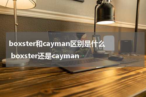 boxster和cayman区别是什么 boxster还是cayman