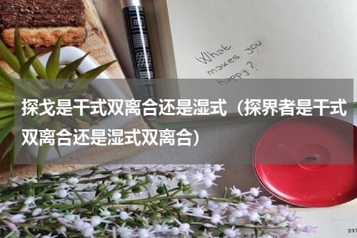 探戈是干式双离合还是湿式（探界者是干式双离合还是湿式双离合）