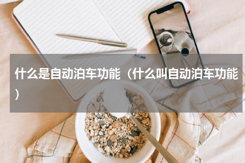 什么是自动泊车功能（什么叫自动泊车功能）