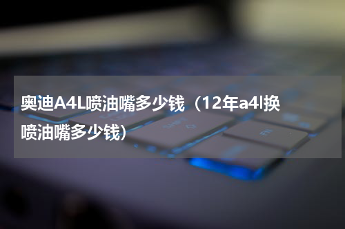 奥迪A4L喷油嘴多少钱（12年a4l换喷油嘴多少钱）