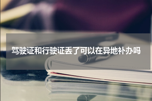 驾驶证和行驶证丢了可以在异地补办吗