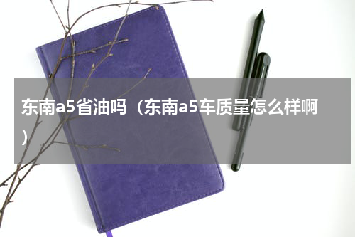 东南a5省油吗（东南a5车质量怎么样啊）