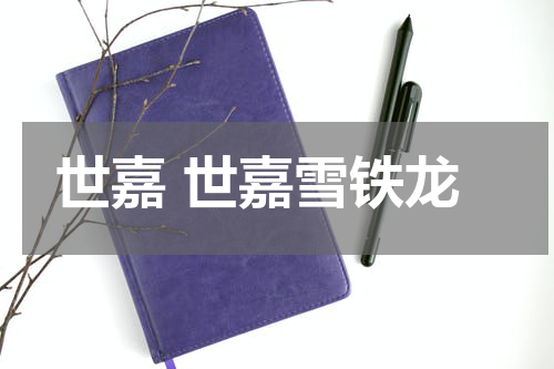 世嘉 世嘉雪铁龙