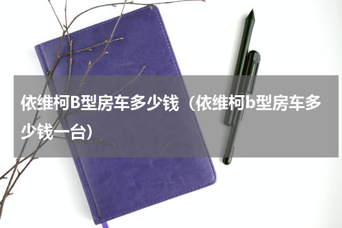 依维柯B型房车多少钱（依维柯b型房车多少钱一台）