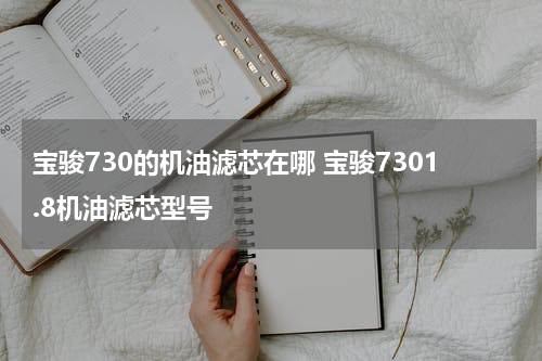 宝骏730的机油滤芯在哪 宝骏7301.8机油滤芯型号