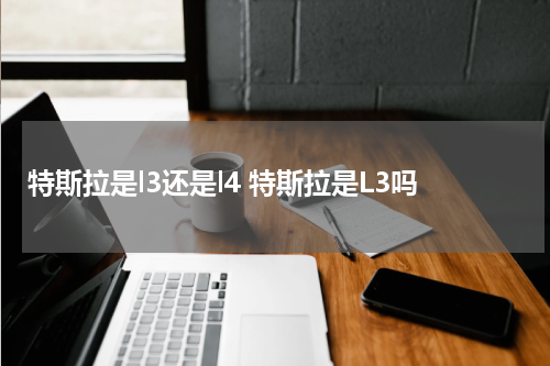 特斯拉是l3还是l4 特斯拉是L3吗