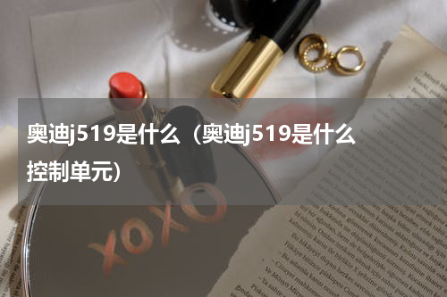 奥迪j519是什么（奥迪j519是什么控制单元）