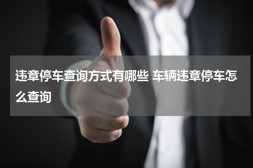 违章停车查询方式有哪些 车辆违章停车怎么查询