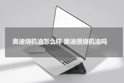 奥迪烧机油怎么样 奥迪很烧机油吗